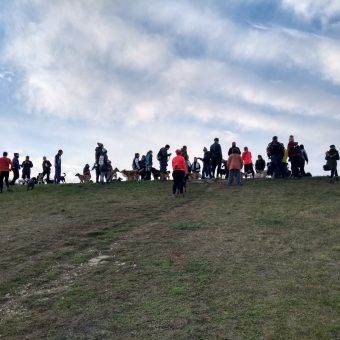 IMG_20181216_150305614_HDR