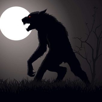 bigstock-Werewolf-12328736