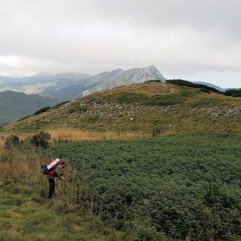 20180905_093551