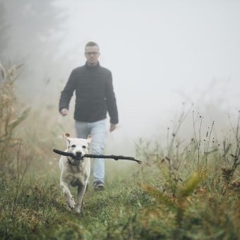 bigstock-Young-Man-Playing-With-Dog-la-262263847