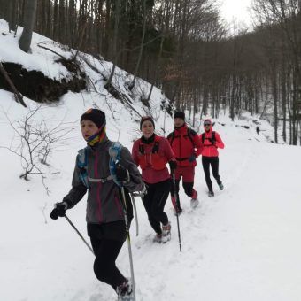 received_2364314030464072