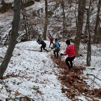 received_391264344782919