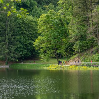 20250517-10_44_47__DSC09584