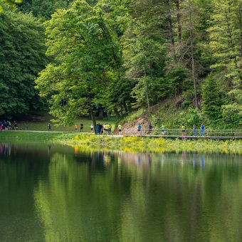 20250517-10_47_28__DSC09601