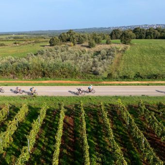 Ironman 70.3. bicikl vinogradi2